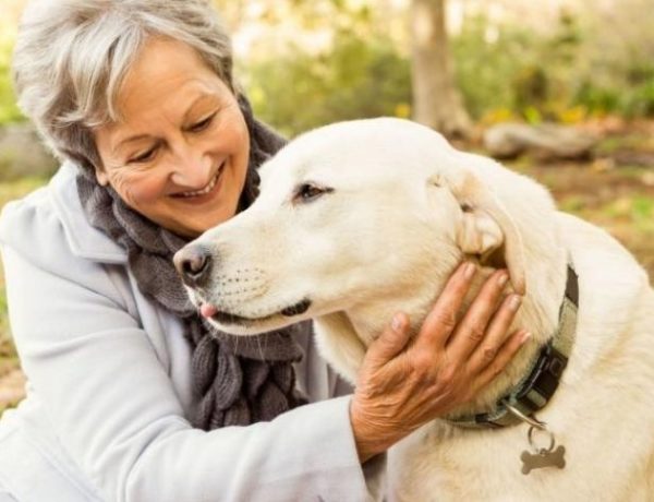 destacado beneficios mascotas adultos mayores