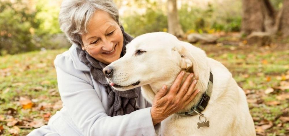 destacado beneficios mascotas adultos mayores