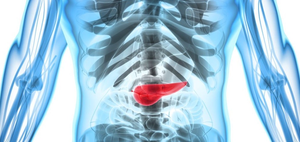 cancer pancreas clinical home